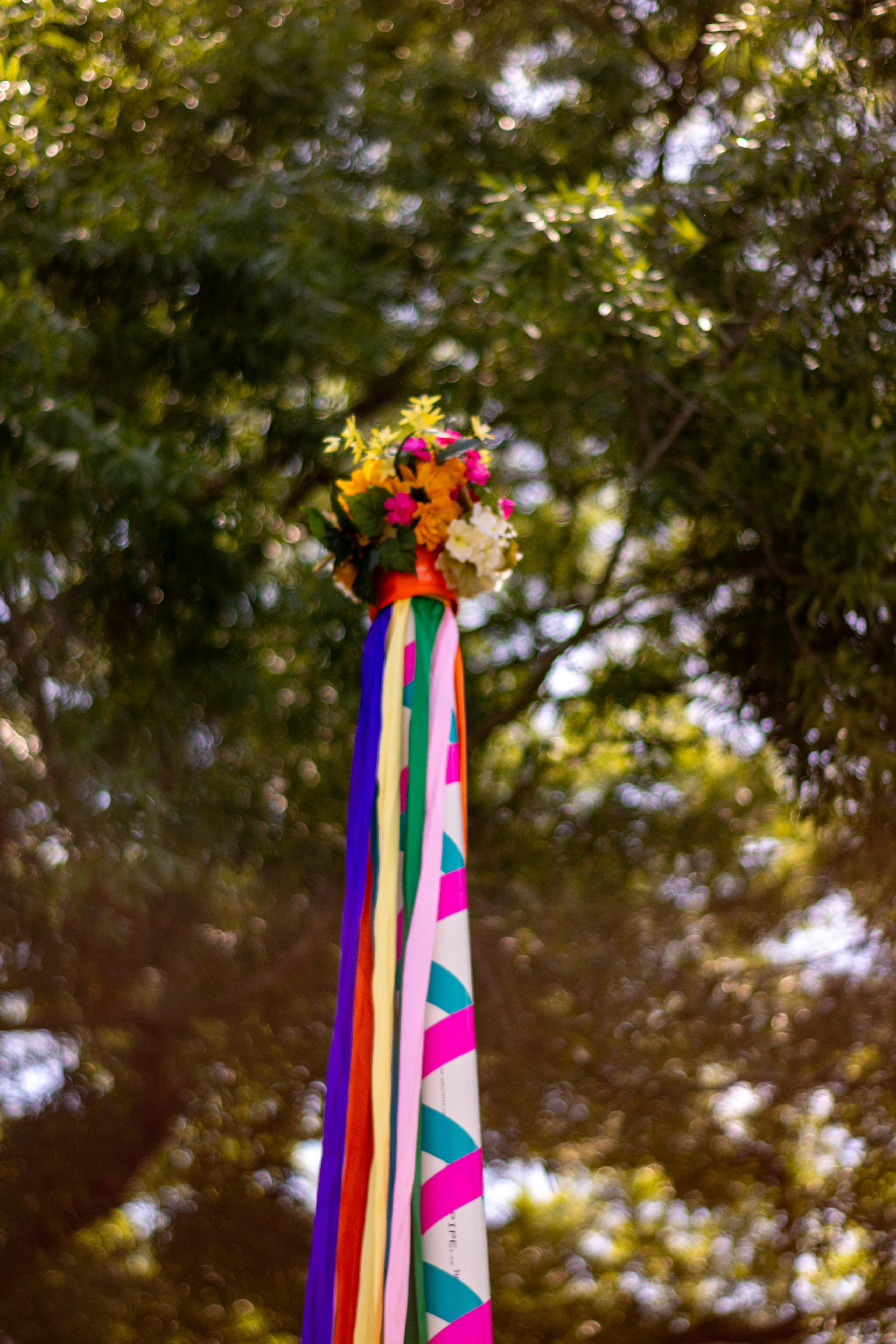 Top of the May pole with colorful ribbons against the trees