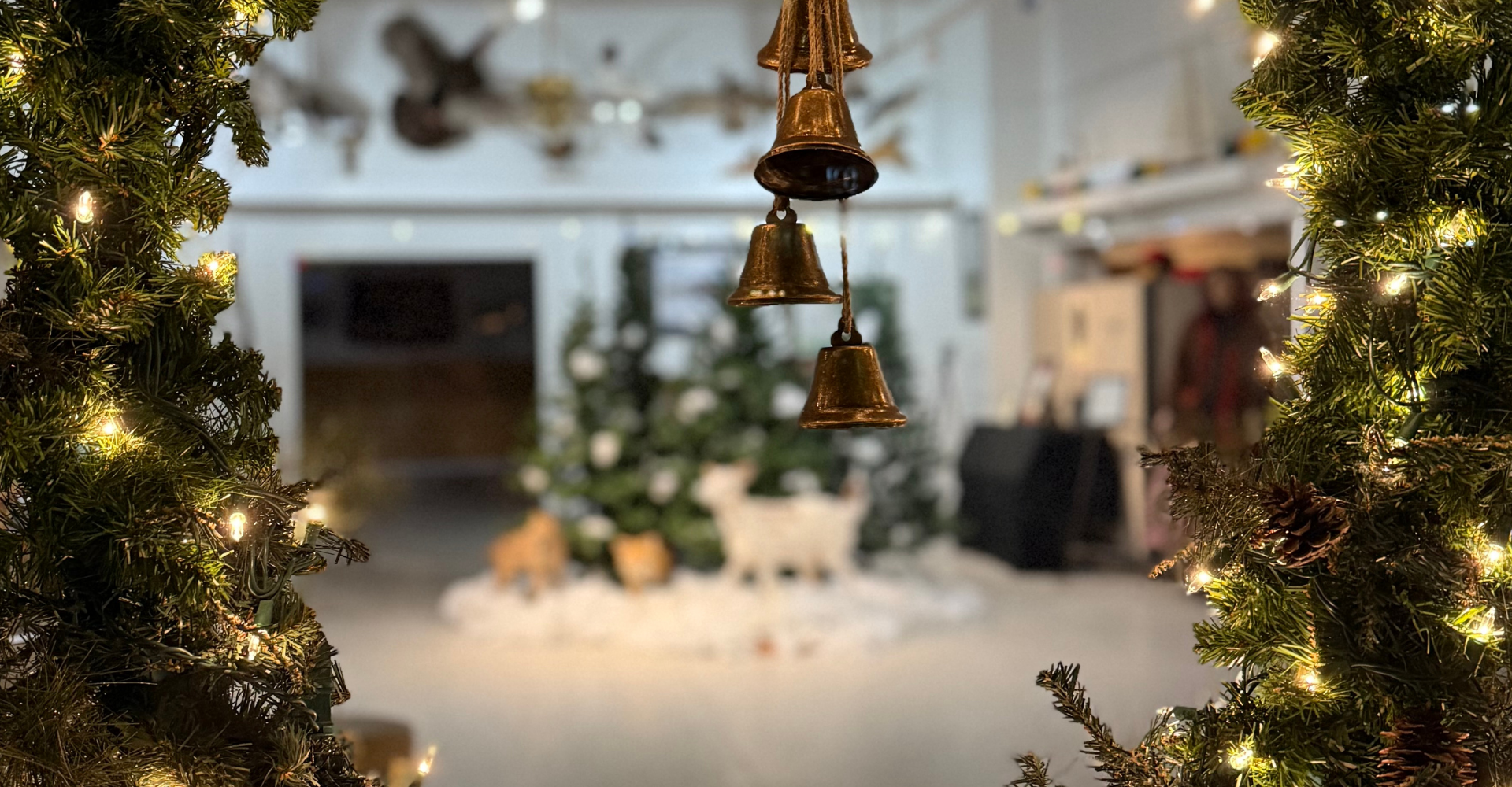 View through the front window of the Mathews Museum into the main gallery